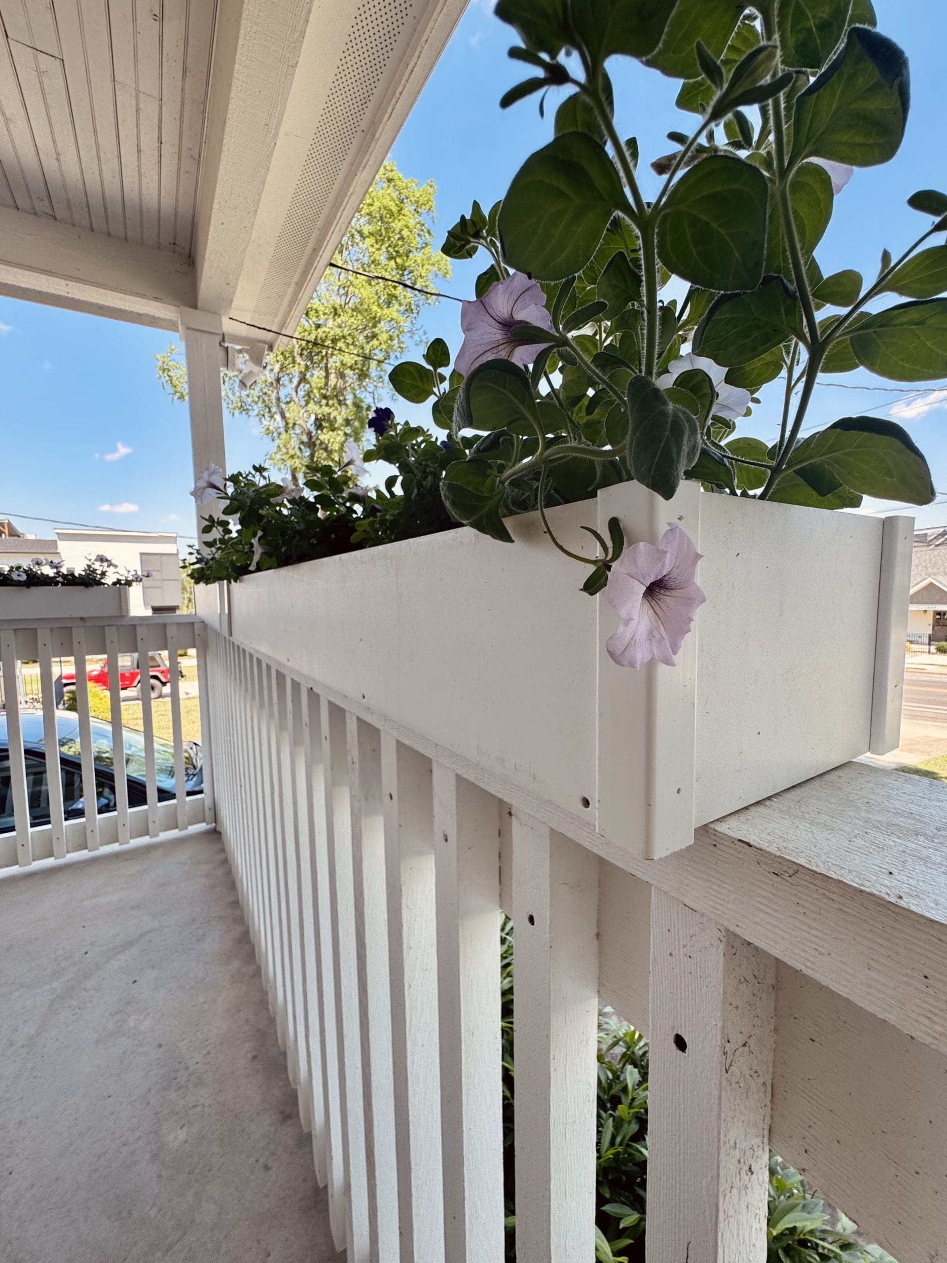 Flower boxes